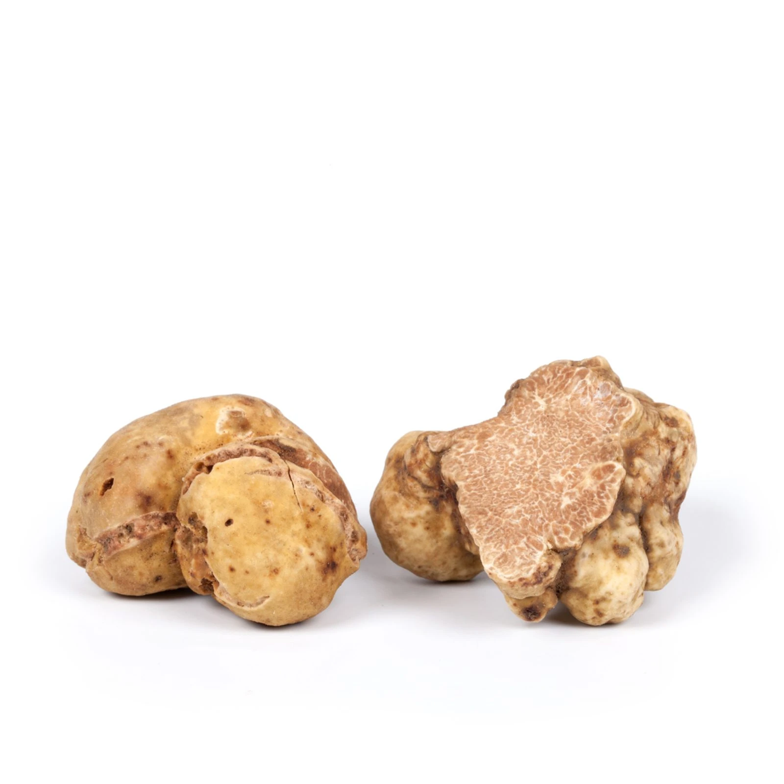 Weier Trffel - Tuber Magnatum Pico - Tartufi Istra