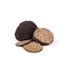 Crni ljetni tartuf – Tuber aestivum